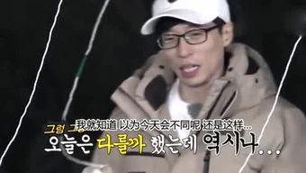 娱乐吃瓜姐白鹿,娱乐圈的甜蜜瓜果,揭秘明星背后的故事