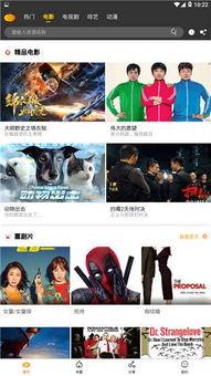 吃瓜娱乐app破解版,畅享免费娱乐的幕后真相