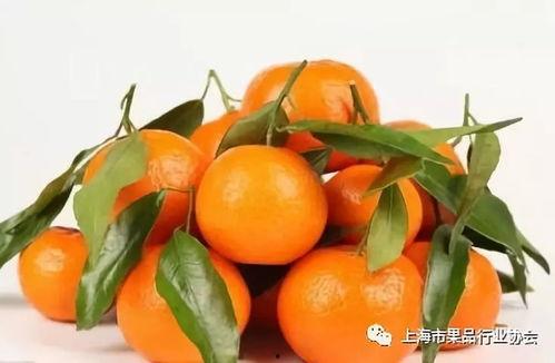 橘子娱乐吃瓜队,揭秘娱乐圈幕后风云